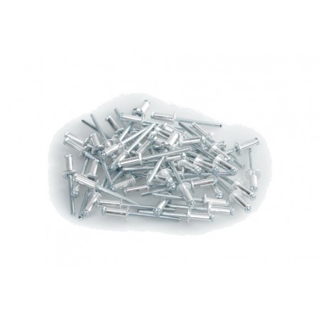 LAMPA Juego de remaches para portamatrícula 50 4,8X12MM LAM59581