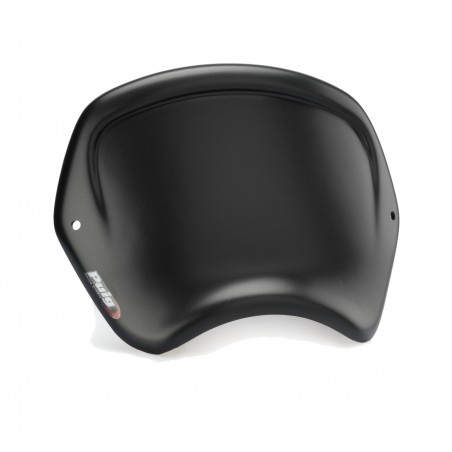 placa frontal