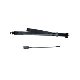CARPRISS Static Two-Point Safety Belt 140CM + 55CM 71434610