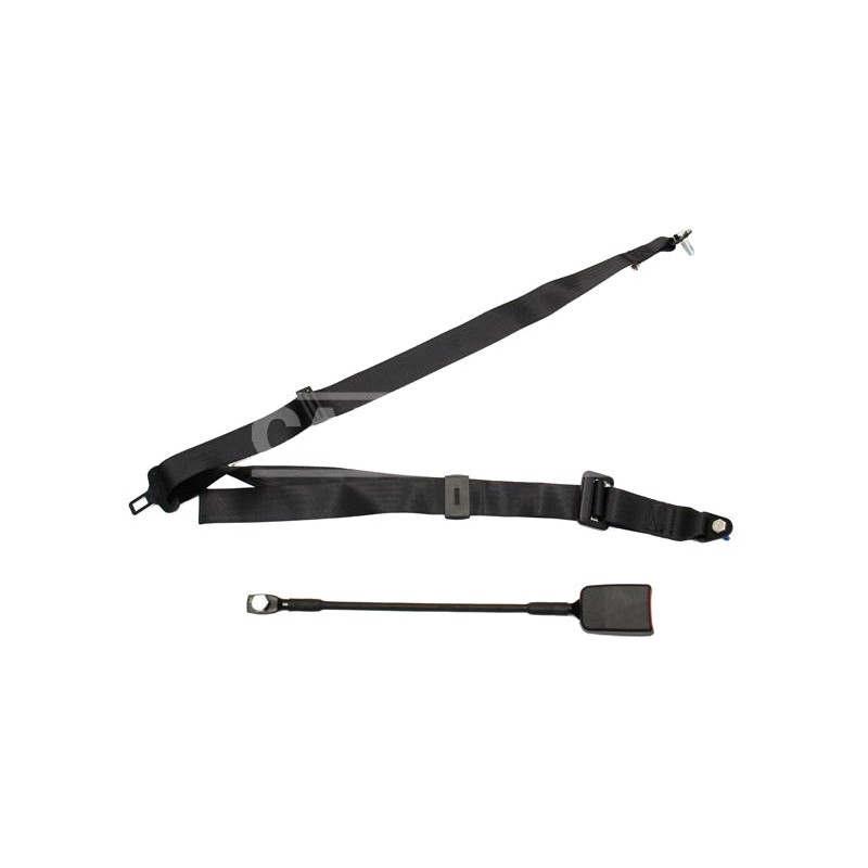 CARPRISS Cinturón de seguridad tres puntos estático 235CM + 31CM 71434617