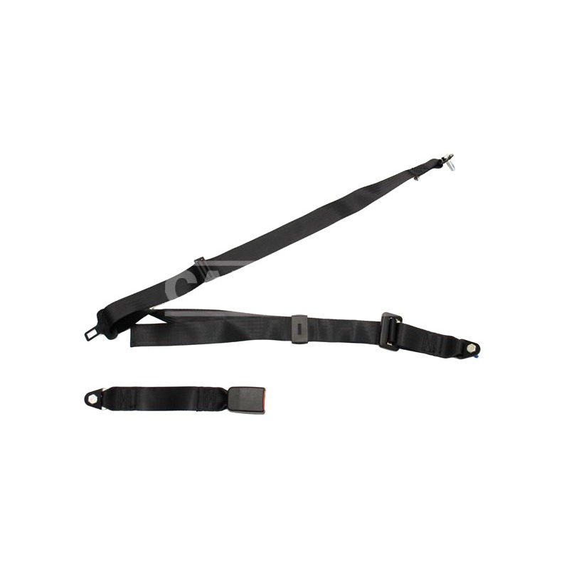 CARPRISS Cinturón de seguridad tres puntos estático 210CM + 35CM 71434621