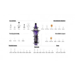 CARPRISS Lamp bulb R2 79789225