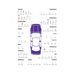 CARPRISS Lamp bulb W16W T15 79789234