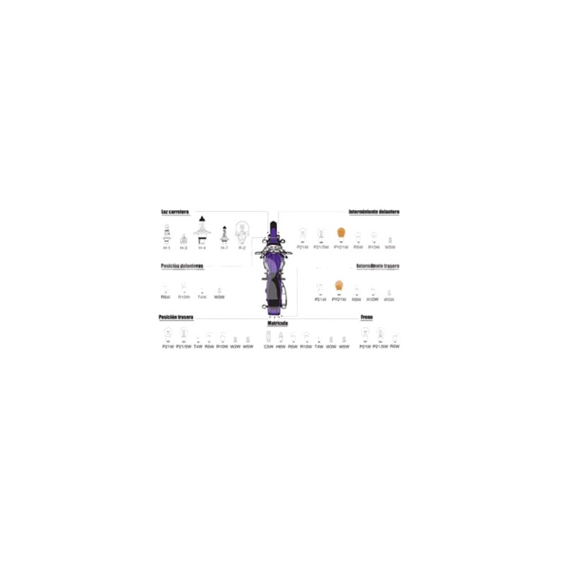 CARPRISS Lamp bulb WY5W T10 79789292