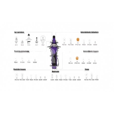 CARPRISS Lamp bulb WY5W T10 79789292