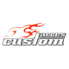 CUSTOM ACCES