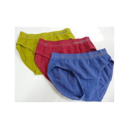 men's slip briefs
