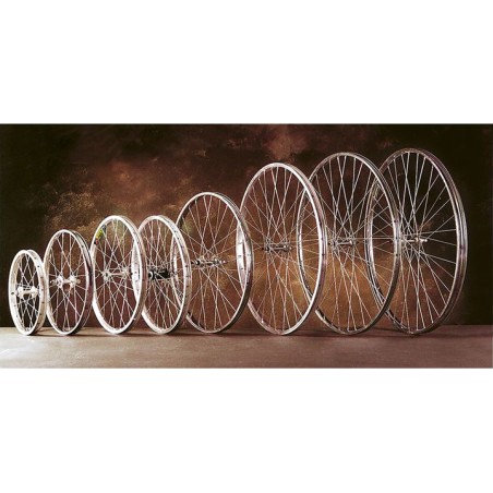 roda davantera completa