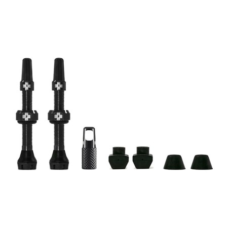 kit de vannes v2 tubeless 44 mm