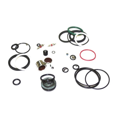 complete maintenance kit for shock absorbers monarch rt3 2013