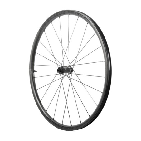 forhjul til dæk aspin disc 12x100