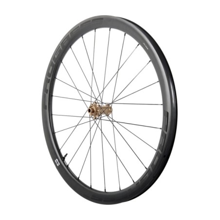 roda davantera grx40