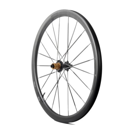 rueda trasera orbit 380 microspline