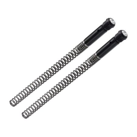 springs + cartridges + adjustable fork settings  kb mt-07