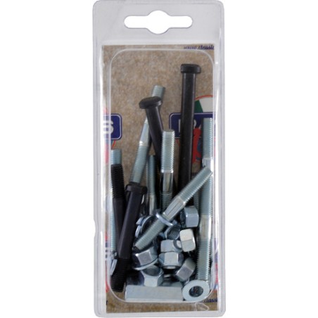 engine crankcase screw kit