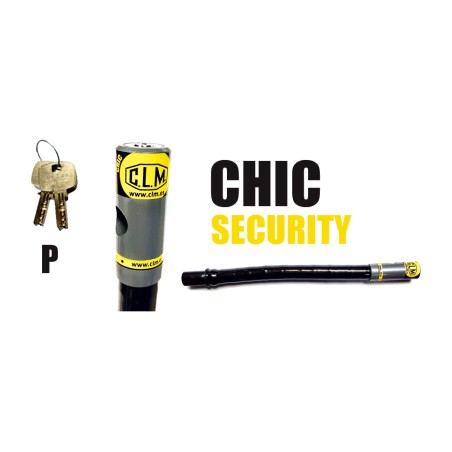 handlebar lock kit with specific flathead key attachment chic