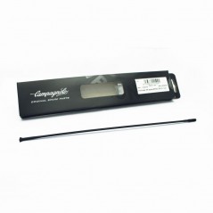 CAMPAGNOLO Radio delantero 1U SHAMAL MILLE 641060