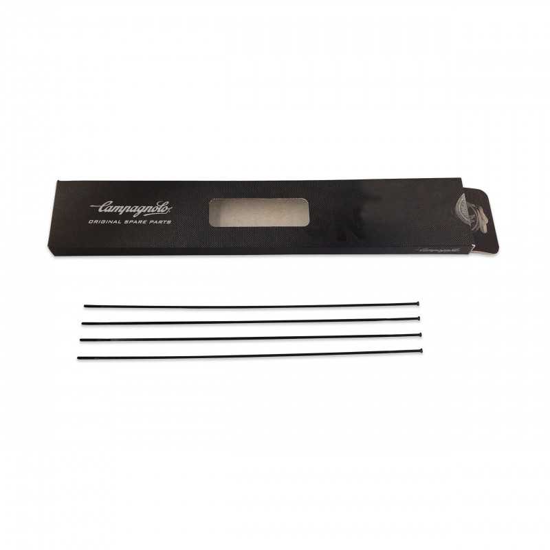 CAMPAGNOLO Radio delantero bicicleta SCIROCCO 35 4U 641822