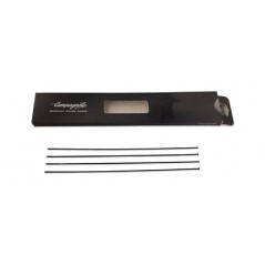 Front radio bicycle  CALIMA 4U