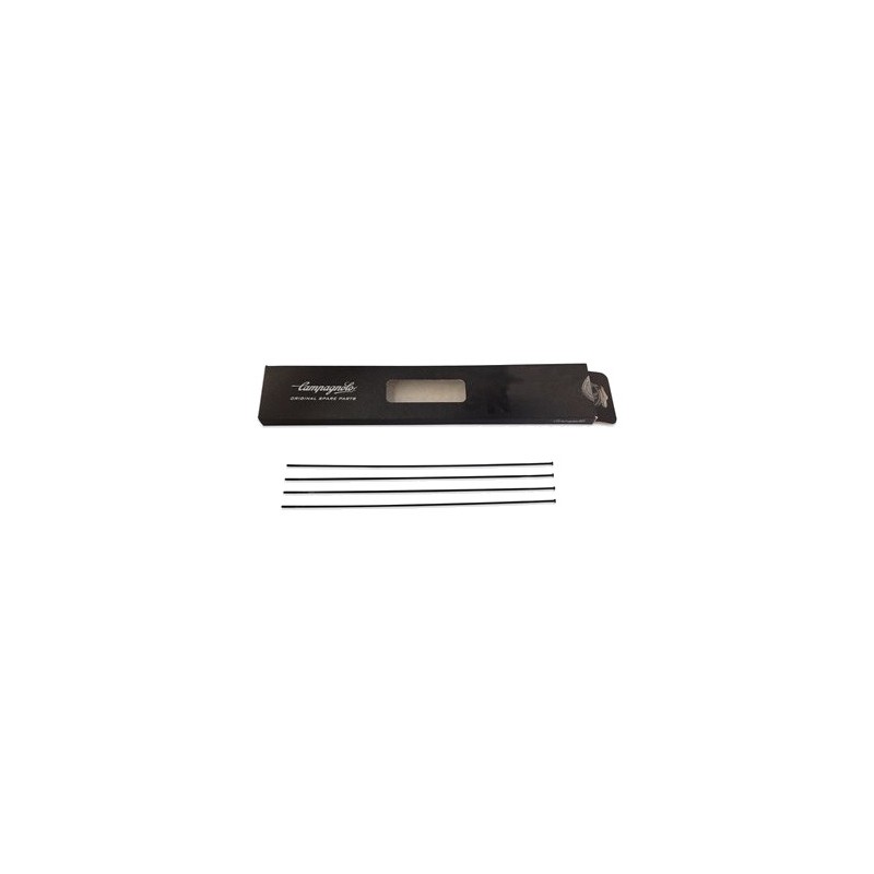 Front radio bicycle  CALIMA 4U