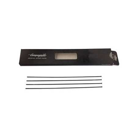 Front radio bicycle  CALIMA 4U