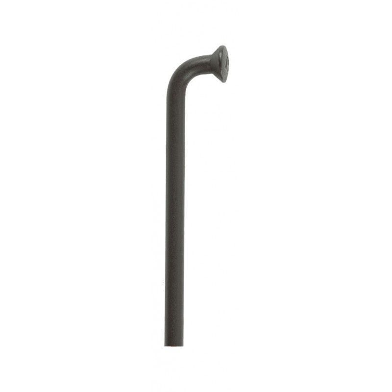 DT SWISS Box of 100 angled stainless spokes CHAMPION M2 716637VAR