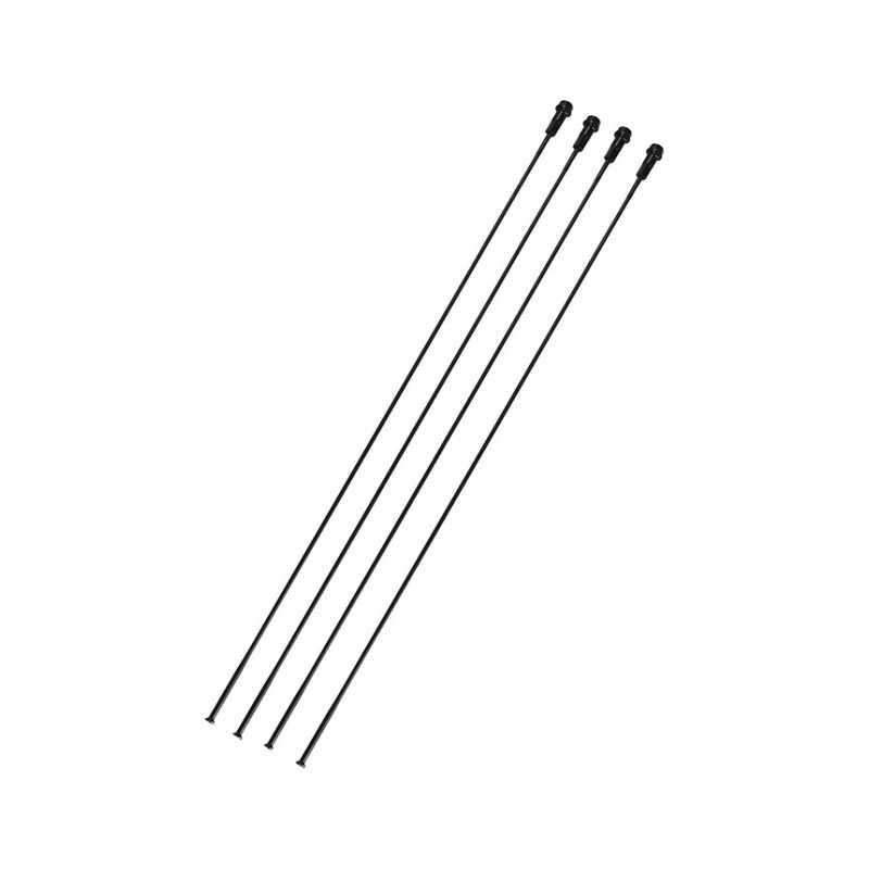 CAMPAGNOLO Set of 4 bicycle spokes ZONDA DISK 709111VAR