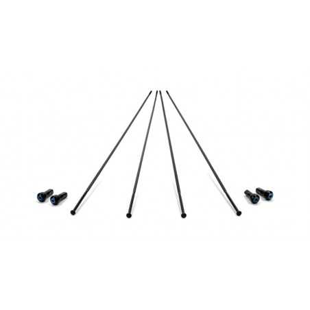 CAMPAGNOLO Set of 4 bicycle spokes BORA ONE 35 DISK 709118VAR