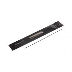 CAMPAGNOLO Juego 4 radios bicicleta WTO 60 DISK 709121VAR