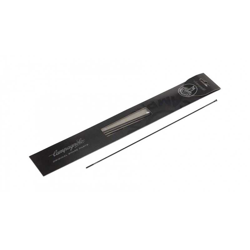 CAMPAGNOLO Juego 4 radios bicicleta WTO 60 DISK 709121VAR