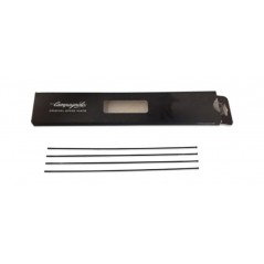 CAMPAGNOLO Juego 4 radios bicicleta WTO 60 DISK 709121VAR