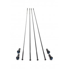 CAMPAGNOLO Juego 4 radios bicicleta WTO 45 DISK 709123VAR