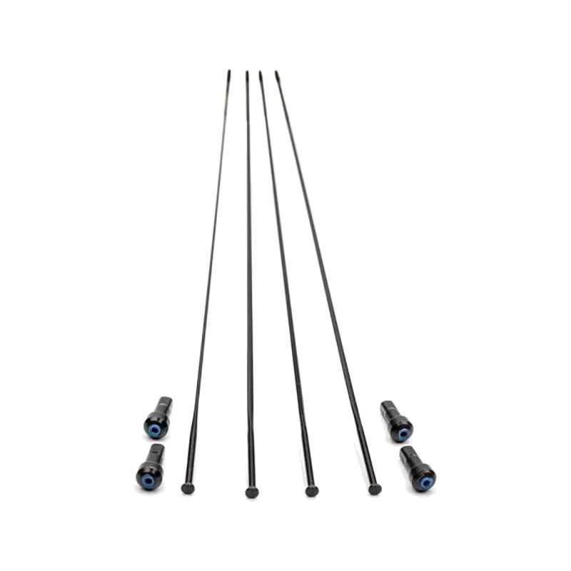 CAMPAGNOLO Juego 4 radios bicicleta WTO 45 DISK 709123VAR