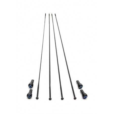 CAMPAGNOLO Juego 4 radios bicicleta WTO 45 DISK 709123VAR