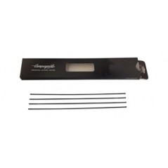 CAMPAGNOLO Juego 4 radios bicicleta WTO 45 DISK 709123VAR