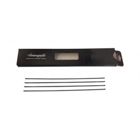 CAMPAGNOLO Juego 4 radios bicicleta WTO 45 DISK 709123VAR