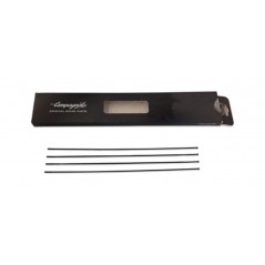 CAMPAGNOLO Juego 4 radios bicicleta WTO 33 DISK 709126VAR