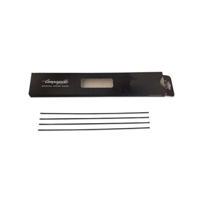 CAMPAGNOLO Juego 4 radios bicicleta WTO 33 DISK 709126VAR