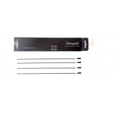 CAMPAGNOLO Juego 4 radios bicicleta WTO 33 DISK 709126VAR