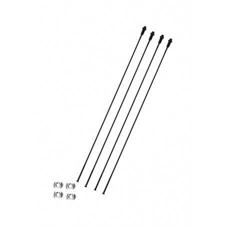 CAMPAGNOLO Set of 4 bicycle spokes SHAMAL CARBON 709130VAR