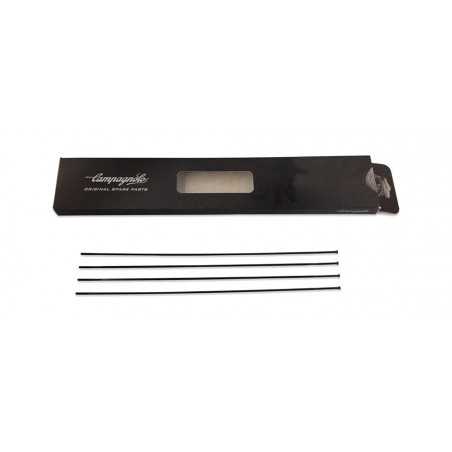 CAMPAGNOLO Juego 4 radios bicicleta SHAMAL ULTRA DISK 709134VAR