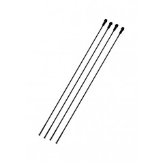 CAMPAGNOLO Set of 4 bicycle spokes SHAMAL ULTRA DISK 709134VAR