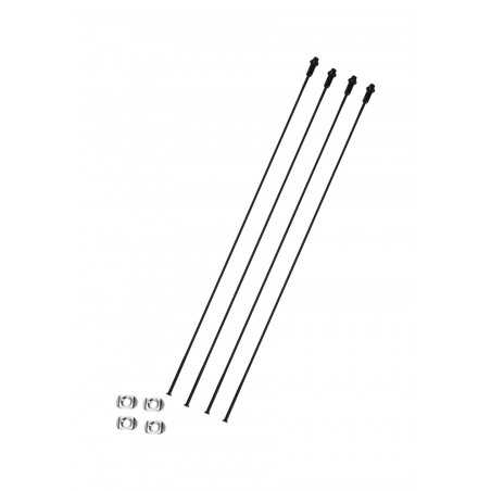 CAMPAGNOLO Set of 4 bicycle spokes SCIROCCO DISK 709137VAR