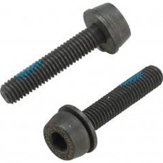 CAMPAGNOLO Tornillos para montaje de pinzas freno traseras 24MM 15-19 MM (2X) 712002