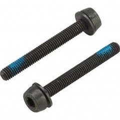 CAMPAGNOLO Tornillos para montaje de pinzas freno traseras 39MM 30-34 MM (2X) 712005