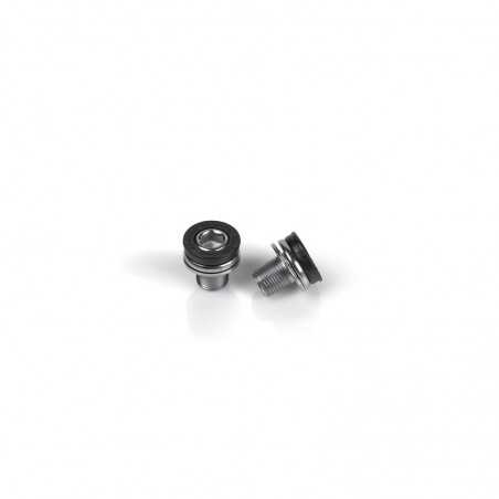 Set crank bolts  M12 BOSCH CLASSIC (2U) CR-E04