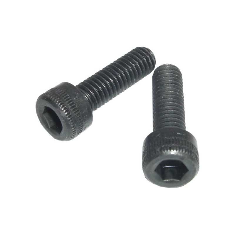 THOMSON Tornillo 2 unidades para la tapa de potencia BMX 718297