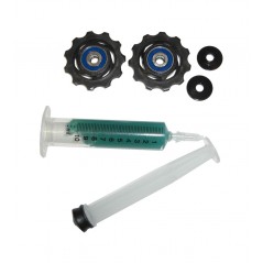 SRAM Juego de ruletas ruedas cambio ceramicas para XX 10V BLACKBOX 101461