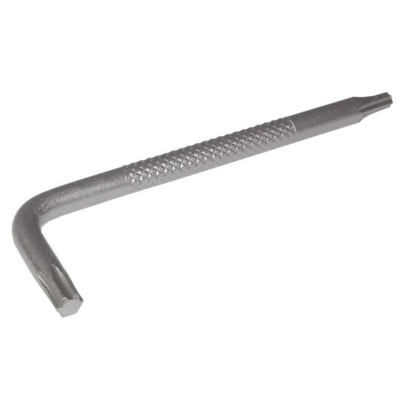 AVID Llave para pastillas de freno disco hidraulico TORX T25/T10 106055