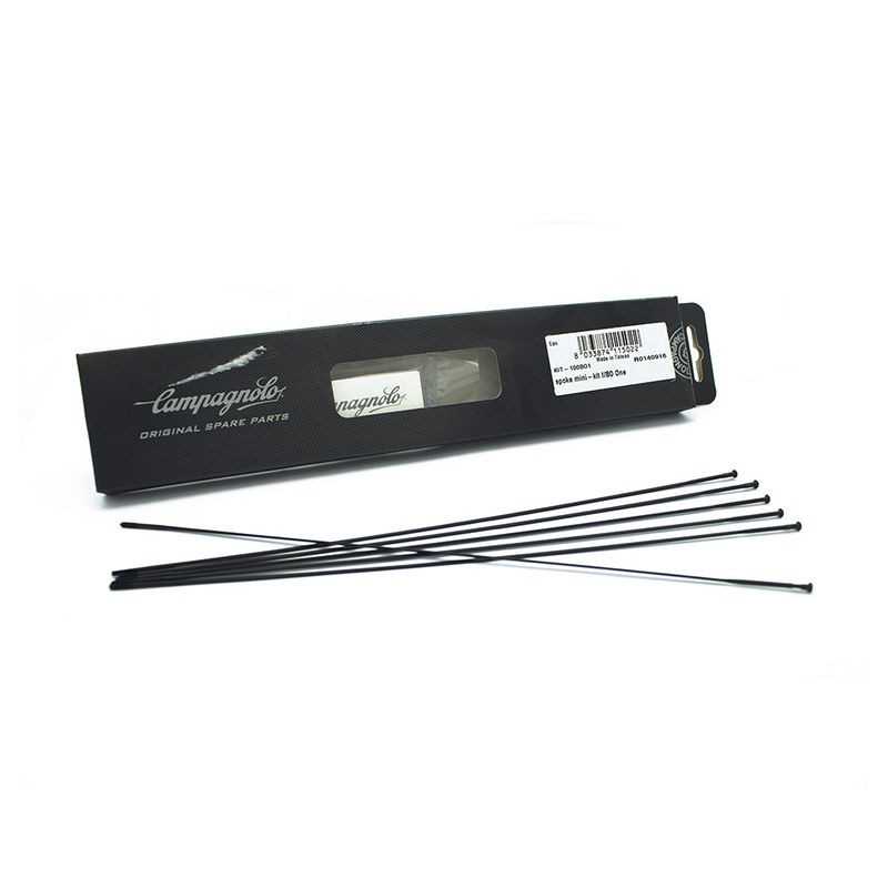 CAMPAGNOLO Mini kit radios recambio bora one 64190